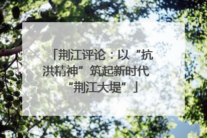 荆江评论：以“抗洪精神”筑起新时代“荆江大堤”
