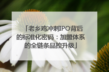 老乡鸡冲刺IPO背后的标准化密码：加盟体系的全链条品控升级