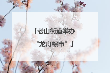 老山街道举办“龙舟粽市”