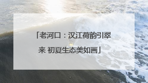 老河口：汉江荷韵引翠来 初夏生态美如画