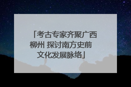 考古专家齐聚广西柳州 探讨南方史前文化发展脉络