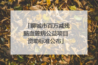 聊城市百万减残脑血管病公益项目资助标准公布