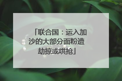 联合国：运入加沙的大部分面粉遭劫掠或哄抢