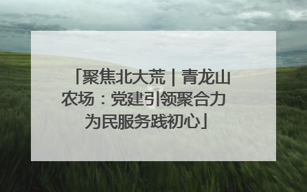 聚焦北大荒｜青龙山农场：党建引领聚合力 为民服务践初心