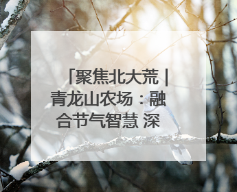 聚焦北大荒｜青龙山农场：融合节气智慧 深耕安全沃土