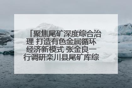聚焦尾矿深度综合治理 打造有色金属循环经济新模式 张金良一行调研栾川县尾矿库综合治理工作