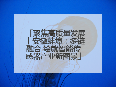 聚焦高质量发展丨安徽蚌埠：多链融合 绘就智能传感器产业新图景