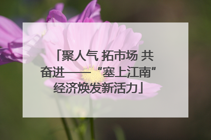 聚人气 拓市场 共奋进——“塞上江南”经济焕发新活力