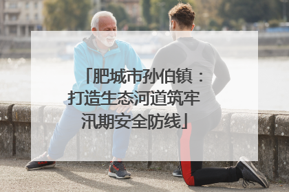 肥城市孙伯镇：打造生态河道筑牢汛期安全防线