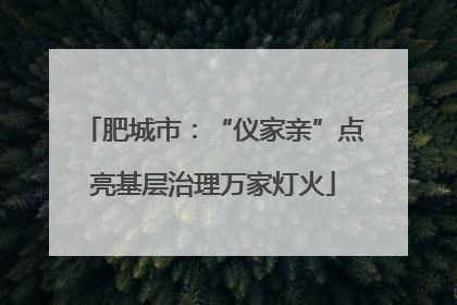 肥城市：“仪家亲”点亮基层治理万家灯火