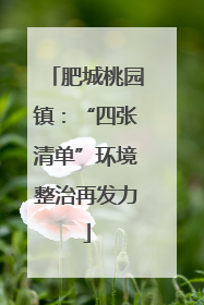 肥城桃园镇：“四张清单”环境整治再发力