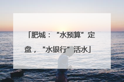 肥城：“水预算”定盘，“水银行”活水