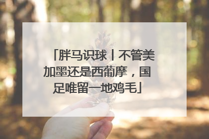 胖马识球丨不管美加墨还是西葡摩，国足唯留一地鸡毛