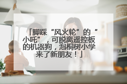 脚踩“风火轮”的“小吒”，可脱离遥控板的机器狗，泡桐树小学来了新朋友！