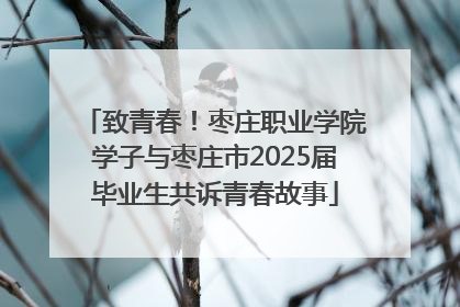 致青春！枣庄职业学院学子与枣庄市2025届毕业生共诉青春故事