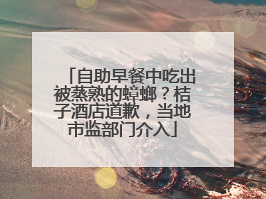 自助早餐中吃出被蒸熟的蟑螂？桔子酒店道歉，当地市监部门介入