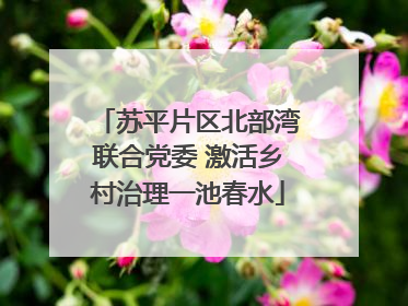 苏平片区北部湾联合党委 激活乡村治理一池春水