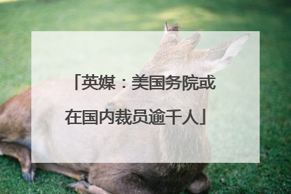 英媒：美国务院或在国内裁员逾千人