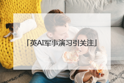 英AI军事演习引关注