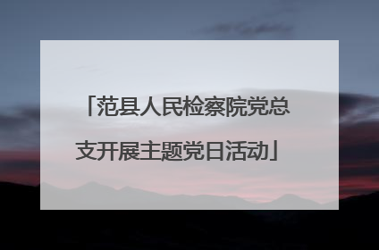 范县人民检察院党总支开展主题党日活动