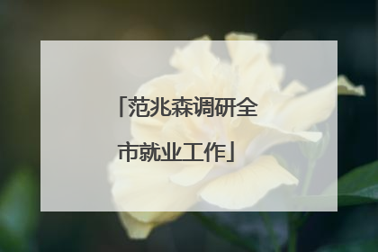 范兆森调研全市就业工作