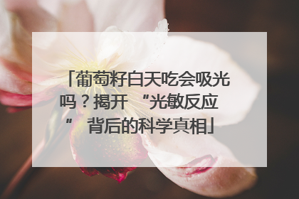 葡萄籽白天吃会吸光吗？揭开 “光敏反应” 背后的科学真相