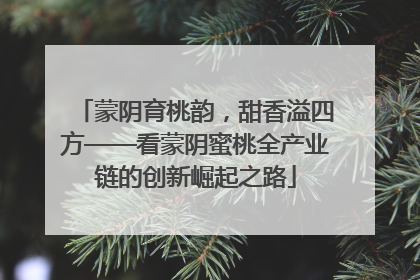 蒙阴育桃韵，甜香溢四方——看蒙阴蜜桃全产业链的创新崛起之路