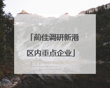 蔺佳调研新港区内重点企业