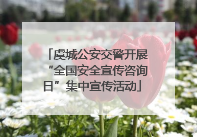 虞城公安交警开展“全国安全宣传咨询日”集中宣传活动