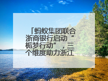 蚂蚁集团联合浙商银行启动“栀梦行动”，三个维度助力浙江下姜村建设共富示范区示范点