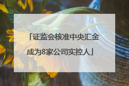 证监会核准中央汇金成为8家公司实控人