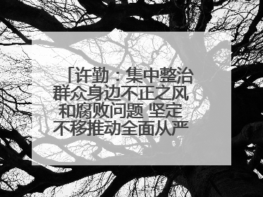 许勤：集中整治群众身边不正之风和腐败问题 坚定不移推动全面从严治党向基层延伸