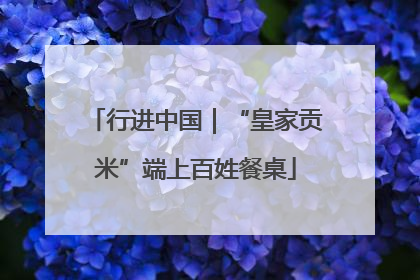 行进中国｜“皇家贡米”端上百姓餐桌