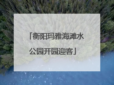 衡阳玛雅海滩水公园开园迎客