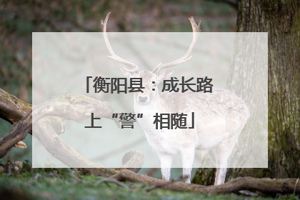 衡阳县：成长路上“警”相随