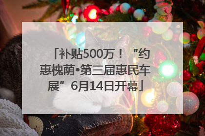 补贴500万！“约惠槐荫•第三届惠民车展”6月14日开幕