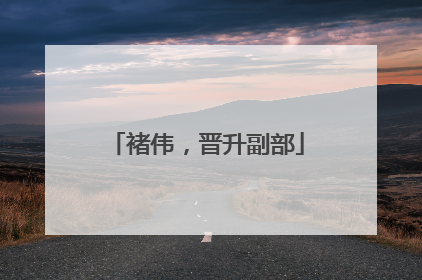 褚伟，晋升副部