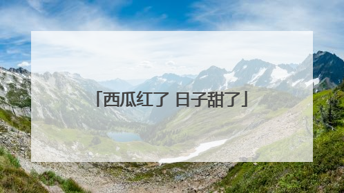 西瓜红了 日子甜了