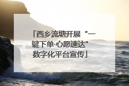 西乡流塘开展“一键下单·心愿速达”数字化平台宣传