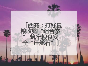西充：打好夏粮收购“组合拳” 筑牢粮食安全“压舱石”