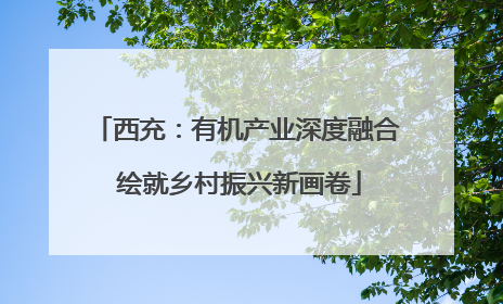 西充：有机产业深度融合 绘就乡村振兴新画卷