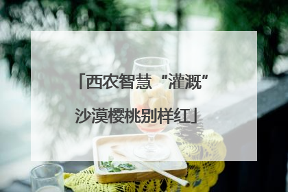 西农智慧“灌溉” 沙漠樱桃别样红