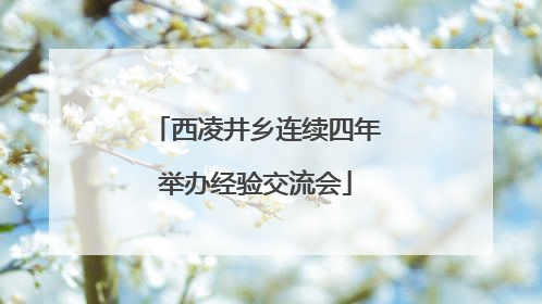 西凌井乡连续四年举办经验交流会
