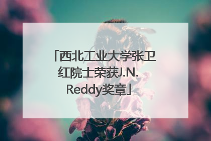 西北工业大学张卫红院士荣获J.N.Reddy奖章