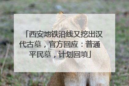西安地铁沿线又挖出汉代古墓，官方回应：普通平民墓，计划回填