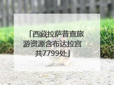 西藏拉萨普查旅游资源含布达拉宫共7799处