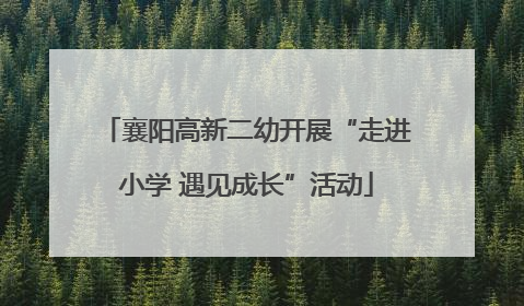 襄阳高新二幼开展“走进小学 遇见成长”活动