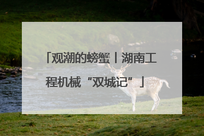观潮的螃蟹丨湖南工程机械“双城记”