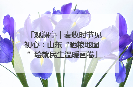 观澜亭｜麦收时节见初心：山东“晒粮地图”绘就民生温暖画卷