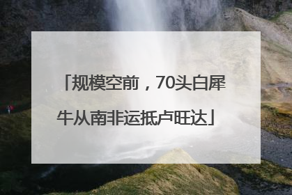 规模空前，70头白犀牛从南非运抵卢旺达